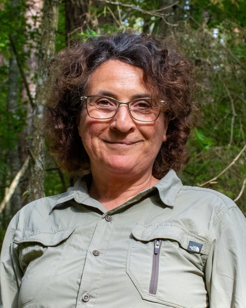 Karin Ek i skogen